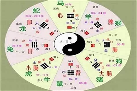 土金 字|五行汉字属性查询